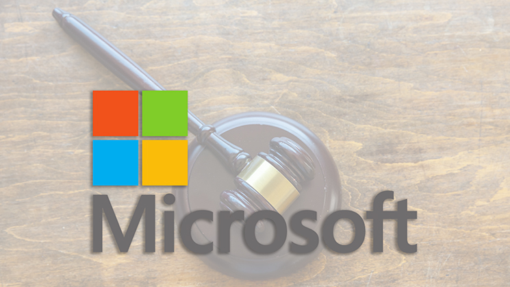 Fotografen stämmer Microsoft på 150 000 dollar för att ha använt hennes bilder utan tillstånd