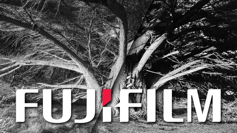 Hur bra är Fujifilms Acros-R-filmsimulering jämfört med riktig 35 mm Fuji Acros 100II-film?