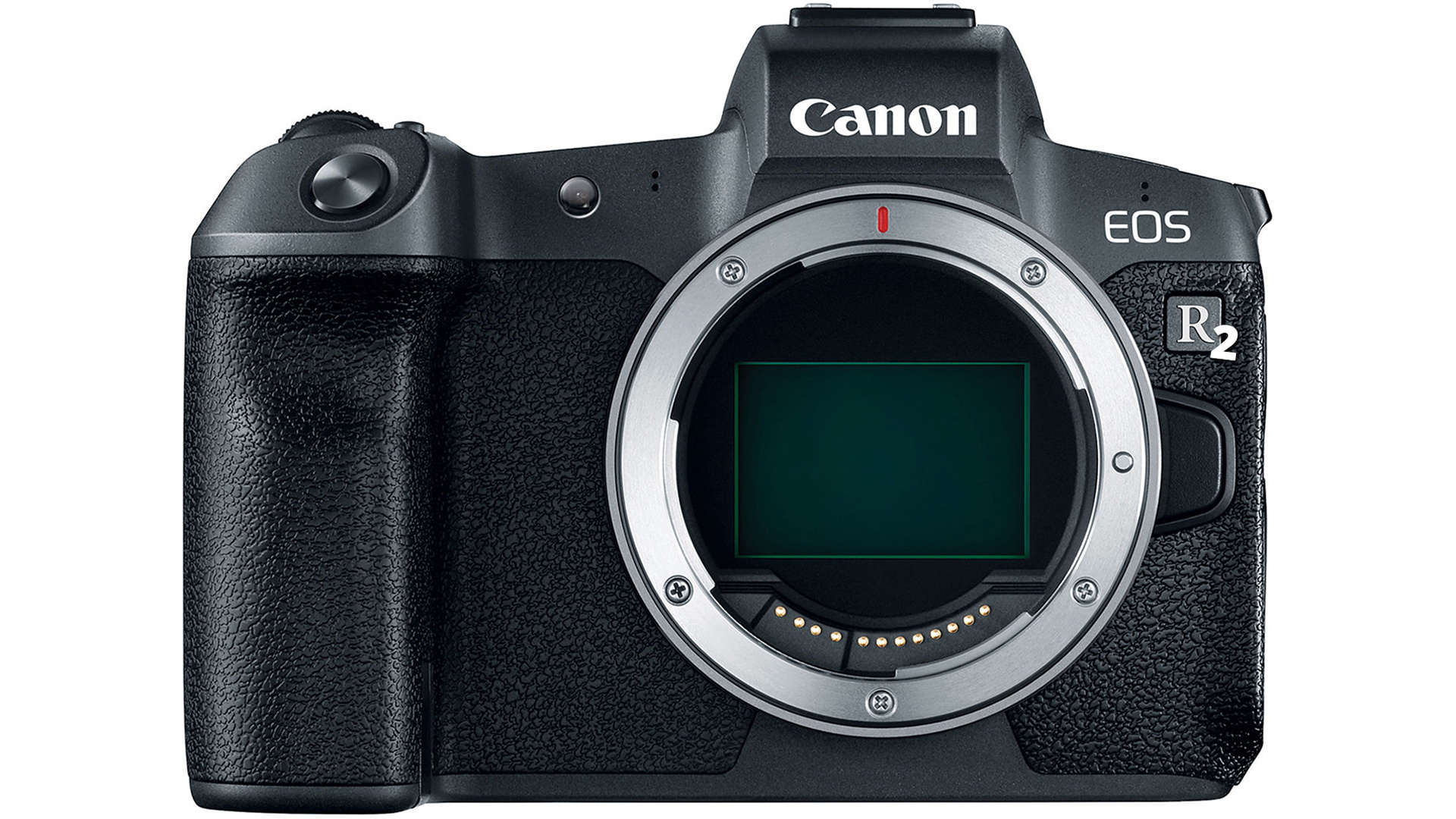 Canon EOS R Mark II testas redan ute i naturen, säger rapporten