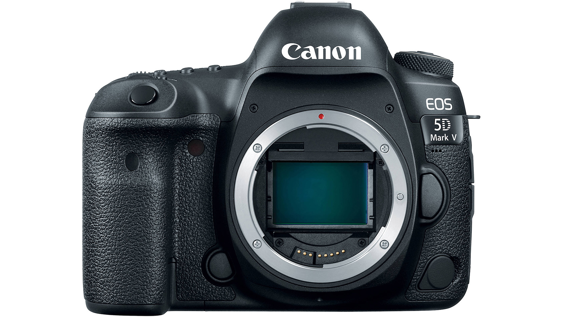 EOS 5D Mark V och EOS R Mark II har lagts till i Canons interna färdplan, enligt rykten