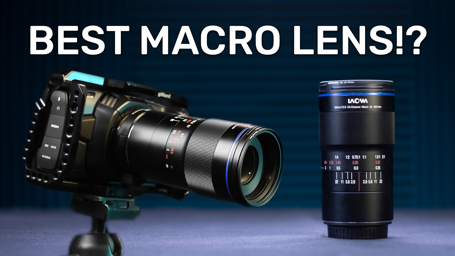 LAOWA 100 mm F2.8 2:1 makro är så starkt att det skulle kunna konkurrera med ett mikroskop