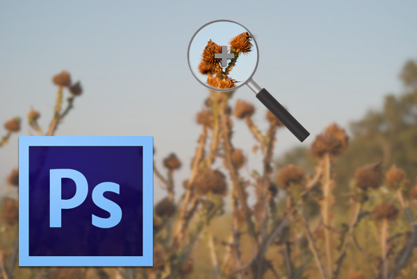 Här är ett enkelt Photoshop-zoomtrick som du förmodligen inte visste