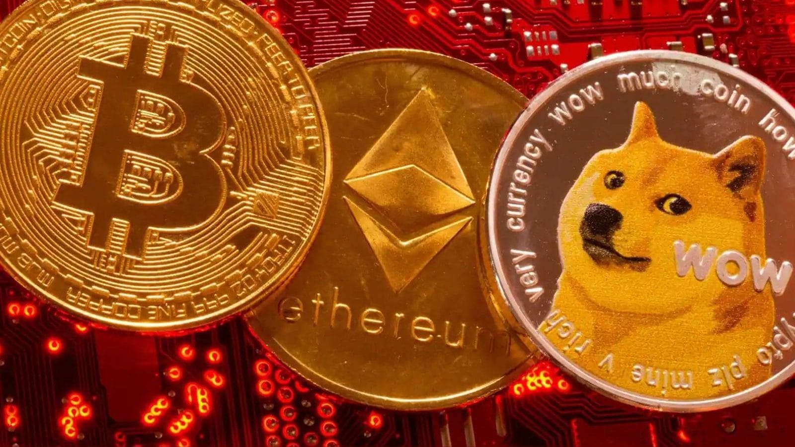 Dogecoin är den mest googlade kryptovalutan i USA: Mer än Bitcoin, Ethereum kombinerat
