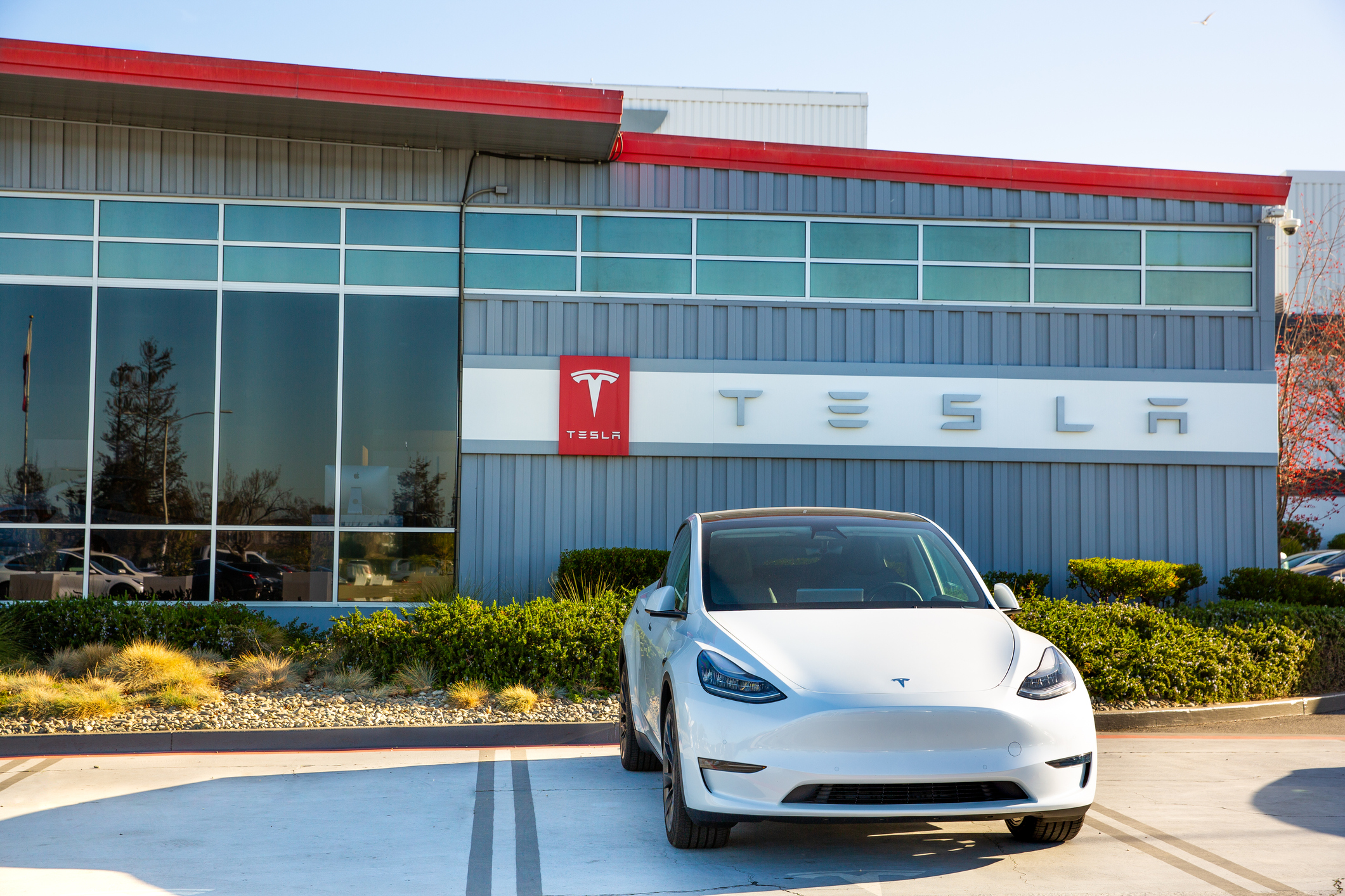 Tesla sees sales rise despite chip shortage