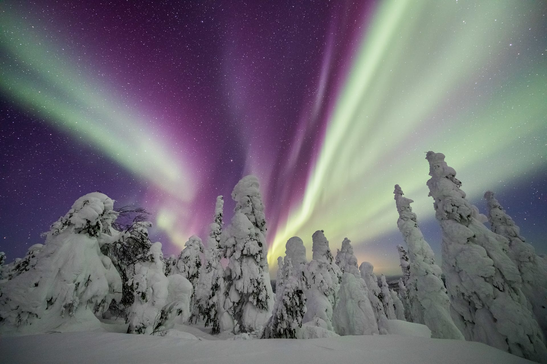 Vinnare av årets norrskensfotograf 2021 avslöjar Auroraes överjordiska skönhet