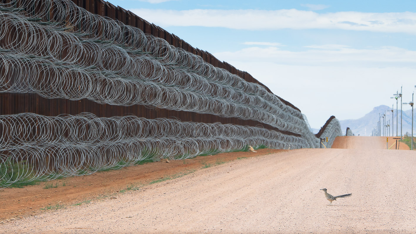 En roadrunner stoppad av gränsmuren mellan USA och Mexiko vinner 2021 års fågelfotograf