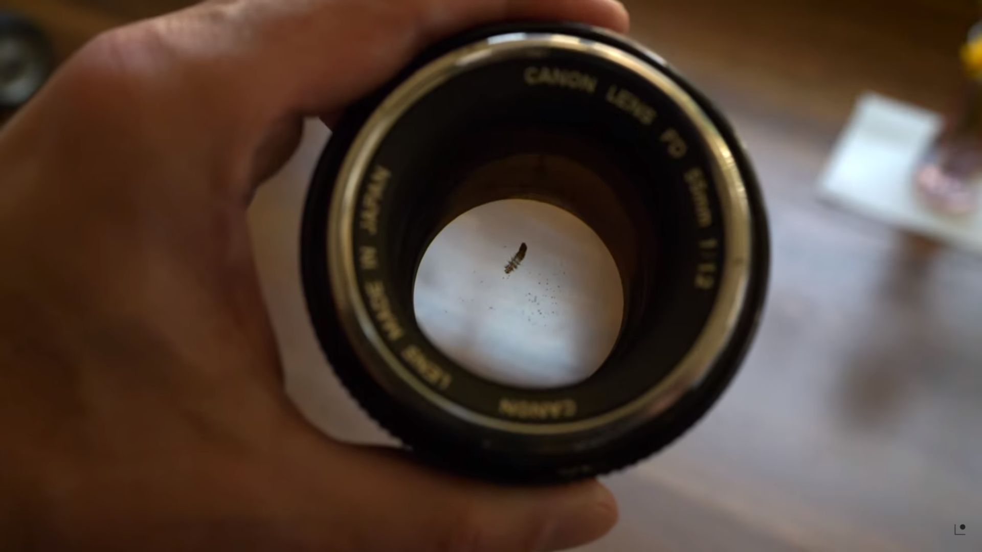 Fotografen hittar en bugg i sin lins.  Men kommer det att synas på bilderna?