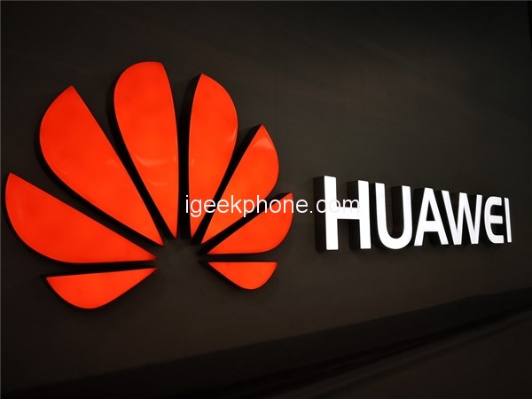 Huawei Enjoy 20 SE Exposed med LCD-skärm med ett hål