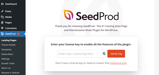 Ingresando su clave de licencia de SeedProd
