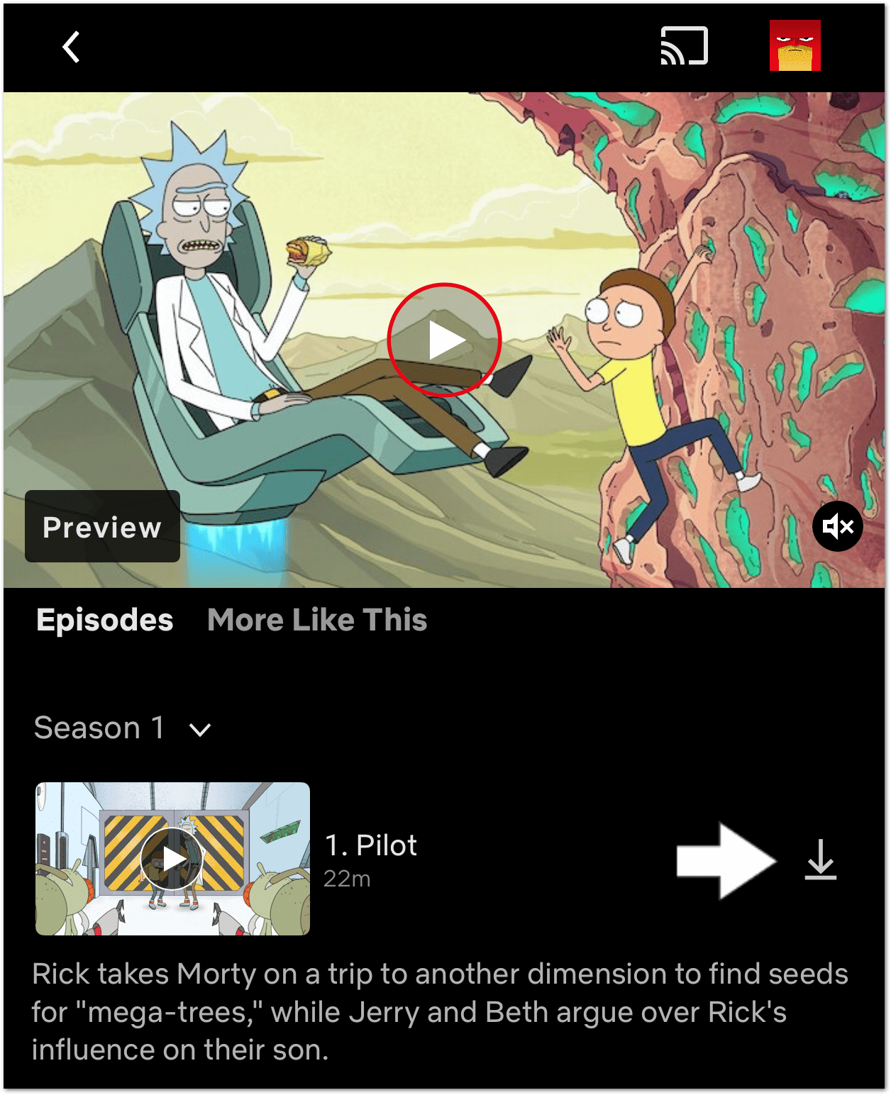 botón de descarga en Netflix